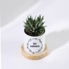 Shop New Beginnings - Haworthia Succulent With Personalized Pot