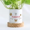 Gift New Year Mantra - Money Plant With Personalized Pot