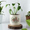 Gift New Year Personalized Ceramic Planter