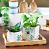 Gift New Year Personalized Planter Pot Set