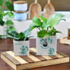 New Year Personalized Planter Pot Set Online