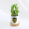 No. 1 Boss - 2 Layer Bamboo Plant With Planter Online