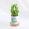 Buy No.1 Teacher - Bamboo Plant With Personalized Planter