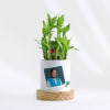 Shop No.1 Teacher - Bamboo Plant With Personalized Planter