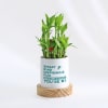 No.1 Teacher - Bamboo Plant With Personalized Planter Online