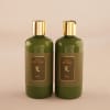 Gift Olive Body Wash And Lotion Combo