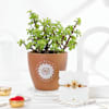 Gift Om And Blessings Rakhi Gift Combo