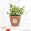 Buy Om And Blessings Rakhi Gift Combo