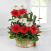 Gift One Sided Basket of Assorted Pink & White Gerberas