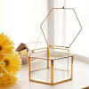 Organizer With Lid -Hexagon - Glass - Single Piece Online