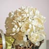 Shop Ornate Opulence