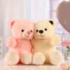 Shop Pair Of Teddies With Personalized Heart Cushion
