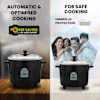 Buy Panasonic SRWA10E 450W Automatic Electric Rice Cooker