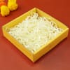 Paper Tray Online