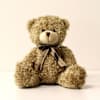 Pastel bloom and teddy bear - Zeste tendre et son ourson Online