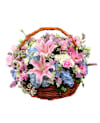 Pastel Surprise Online