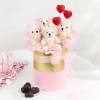 Gift Pastel Teddy Valentine Box