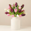 Pastel Tulips Online