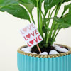Buy Peace Lilly Love With Planter