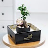 Buy Peaceful Mother's Day Bonsai Plant