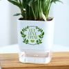 Shop Peacelily Plant With Self-Watering Planter