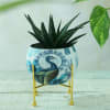 Peacock Design Round Metal Planter without Plant Online