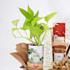 Buy Peacock Rakhi And Chocolate Bliss Hamper