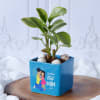 Gift Peperomia Plant In Best Mom Blue Ceramic Planter
