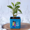 Peperomia Plant In Best Mom Blue Ceramic Planter Online