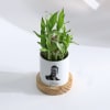 Shop Personalized Bamboo Plant With Planter