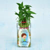 Gift Personalized Birthday Special Two Layer Lucky Bamboo(Moderate Sunlight/Less Water)