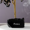 Gift Personalized Black Agate Gemstone Success Tree - 500 Chips