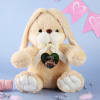 Gift Personalized Bunny Soft Toy- Beige