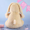 Buy Personalized Bunny Soft Toy- Beige