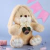 Personalized Bunny Soft Toy- Beige Online