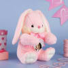 Gift Personalized Bunny Soft Toy- Pink