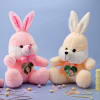 Personalized Bunny Soft Toy-Set of 2 Online