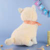Buy Personalized Cat Soft Toy