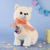 Personalized Cat Soft Toy Online