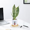 Buy Personalized Ceramic Dog Planter With Snake Plant