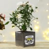 Buy Personalized Ceramic Planter for Papa (Without Plant)