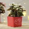 Buy Personalized Ceramic Planter with Heart Motifs