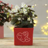Personalized Ceramic Planter with Heart Motifs Online