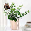 Shop Personalized Chic Ivy Keepsake Planter