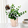 Personalized Chic Ivy Keepsake Planter Online