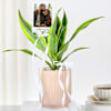 Shop Personalized Dracaena And Fridge Magnet Combo