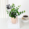 Buy Personalized English Ivy And Fridge Magnet Combo