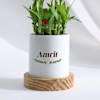 Gift Personalized Father's Day Bamboo Plant With Ceramic Planter