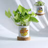 Personalized Father's Day Money Plant With Ceramic Planter Online