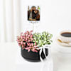 Gift Personalized Fittonia Oasis And Fridge Magnet Combo